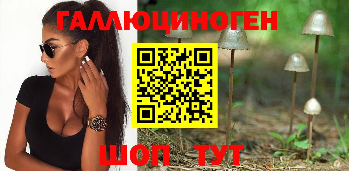 Воронеж  Псилоцибиновые грибы GOLDEN TEACHER  купить наркотик  Галлюциногенные грибы MAGIC MUSHROOMS  Вход с VPN 